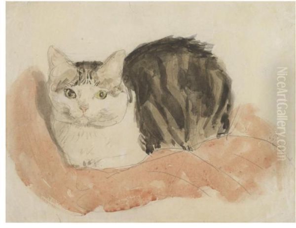Wide-awake Tortoiseshell Cat - view 1