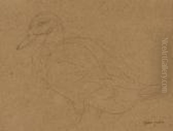 Study Of A Duck - view 1