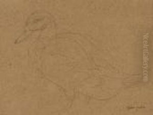 Study Of A Duck