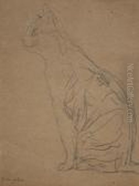 Seated Cat - view 1