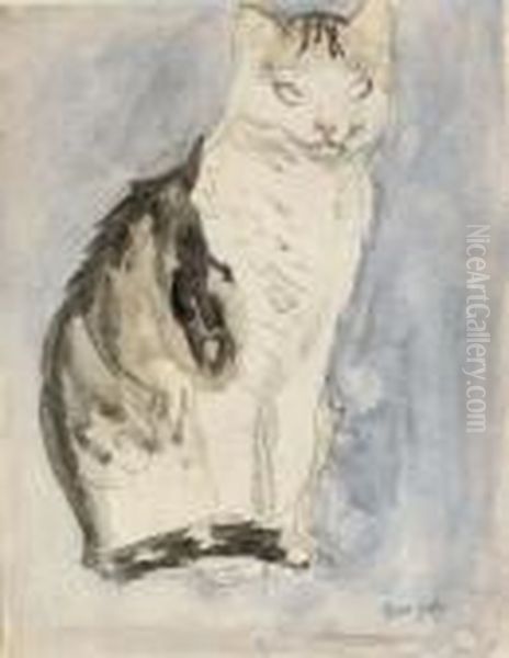 Study Of A Cat - view 1