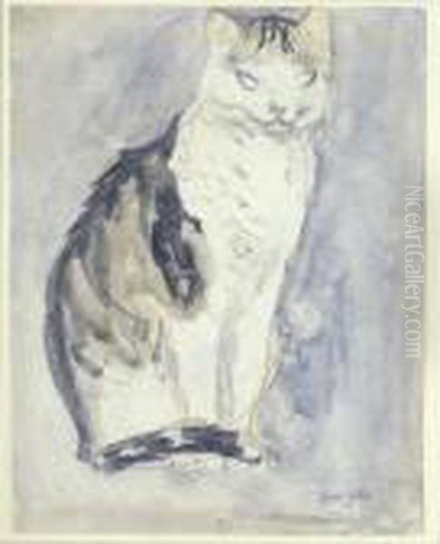 Cat - view 1