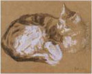 Tabby Curled Up And Looking Attentively by Gwendolen John