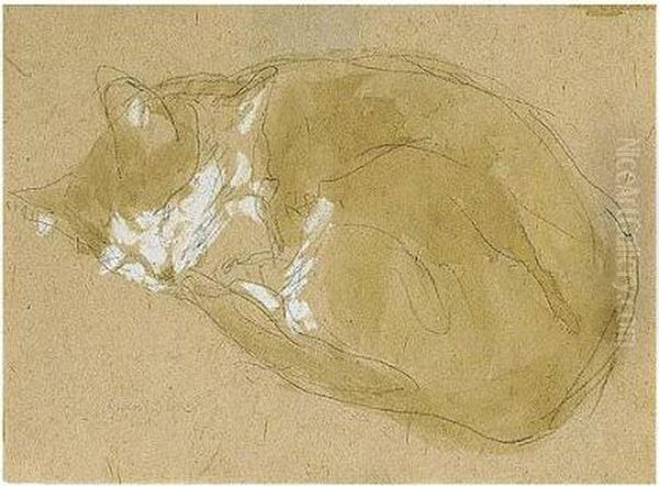 Cat Sleeping - view 1