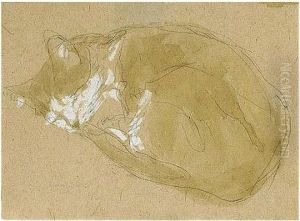 Cat Sleeping by Gwendolen John