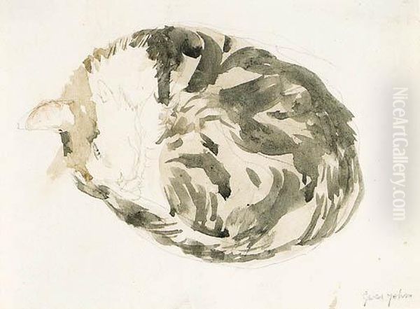 Tortoiseshell Cat Curled Up - view 1