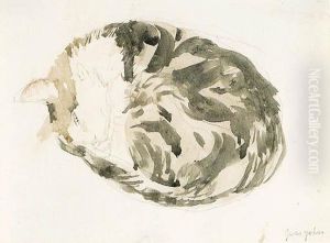 Tortoiseshell Cat Curled Up by Gwendolen John