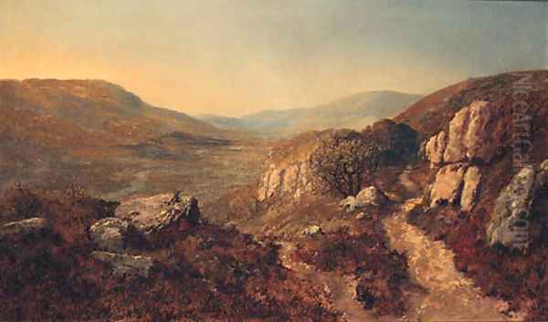 A rocky River Valley - view 1