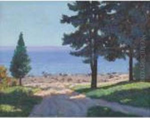 Autumn Sunlight, Georgian Bay