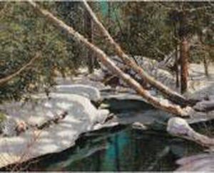 Woodland Silence (the Forest Stream)