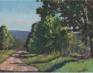 A Georgian Bay Road In June