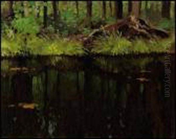 Reflections - view 1