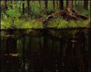 Reflections