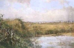 A View near Sefton Lancashire