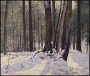 Morning Sun by Franz Hans Johnston