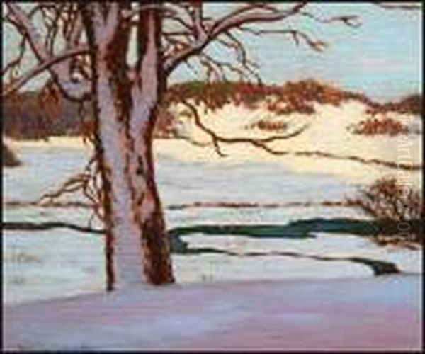 The Open Creek - view 1