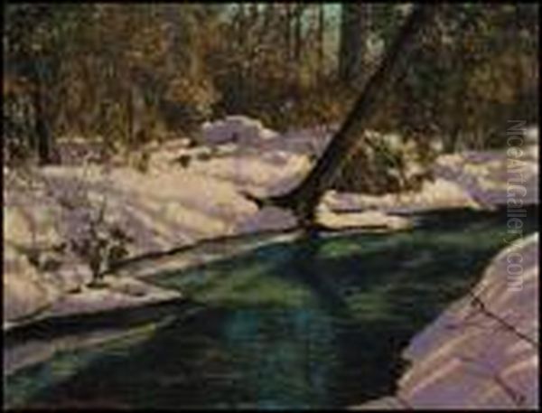 A Woodland Pool - view 1