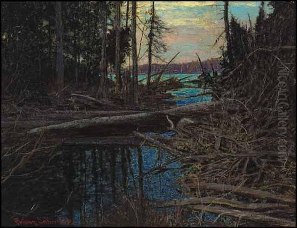 Wilds Of Algonquin - view 1