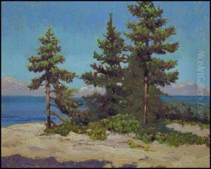 Spruce Point, Georgian Bay by Franz Hans Johnston