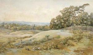 Hare coursing
