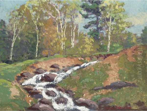 Rushing Stream - view 1