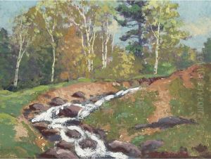 Rushing Stream by Franz Hans Johnston