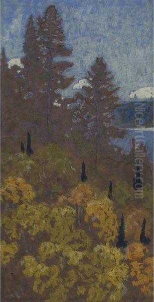 Forest And Lake - view 1