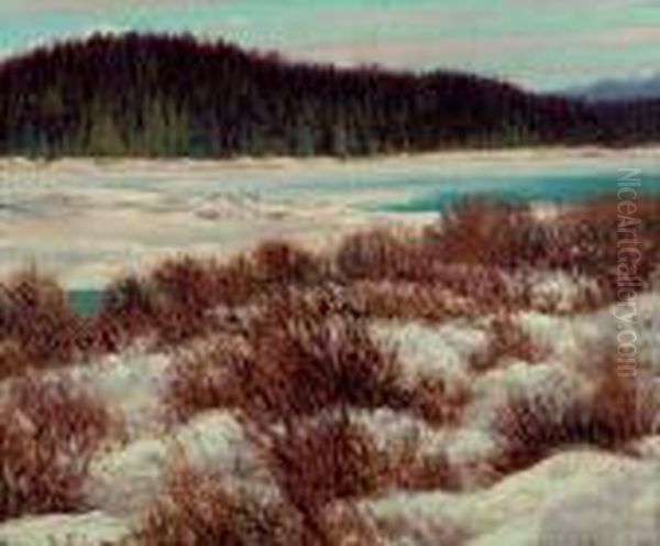 Cariboo Creek - view 1