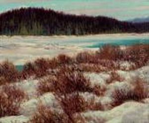 Cariboo Creek