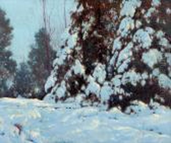 Northern Snow, Late Afternoon Glow - view 1