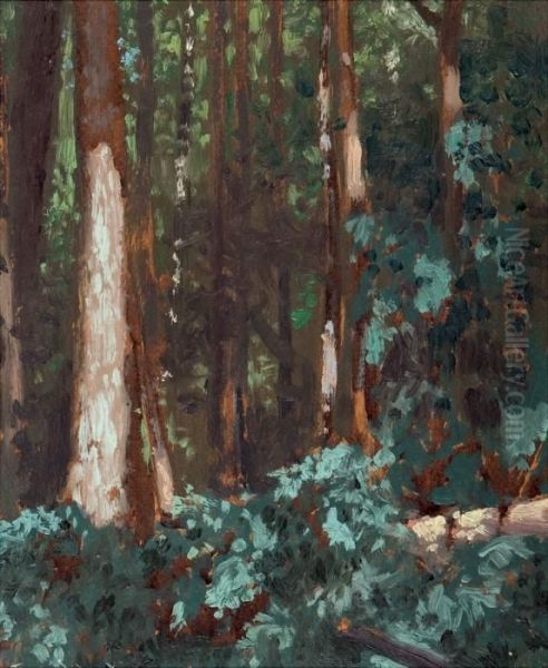 Forest Interior - view 1