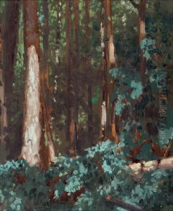 Forest Interior