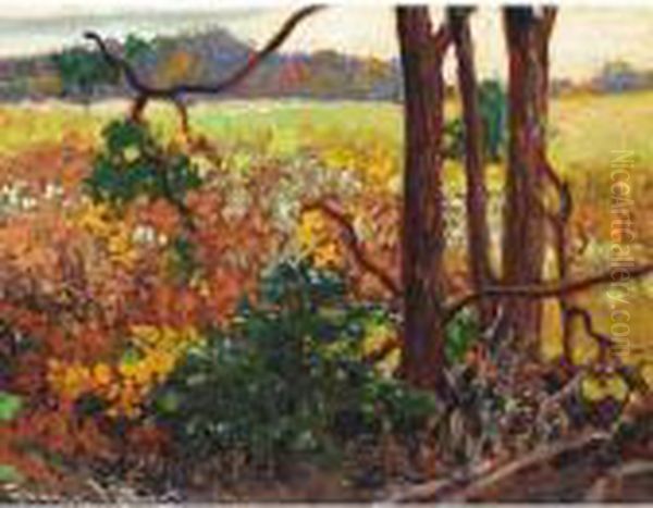 Bracken - view 1