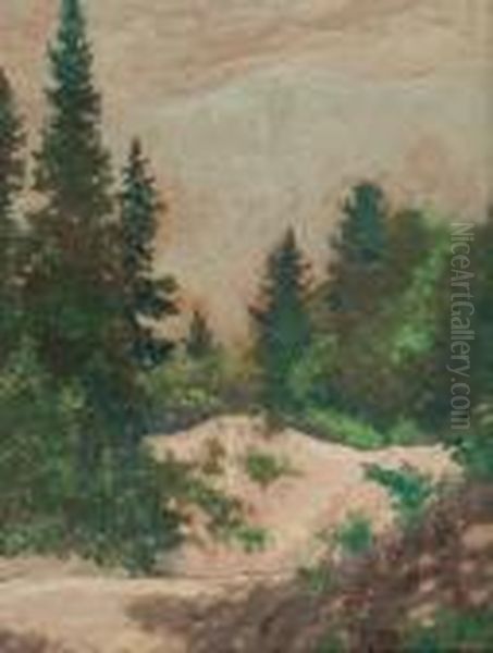 Hazy Day (georgian Bay) - view 1