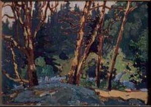 Madrona (arbutus) Trees, Pacific Coast Oil On Panel by Franz Hans Johnston
