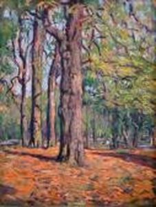 Dans Les Bois D'automne Dans Les Bois D'automne