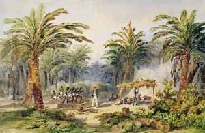The Fabrication of Palm Oil at Whydah