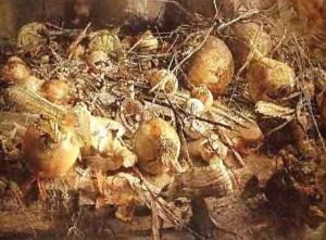 Still Life with Onions Mushrooms and Corn on the Cob by Kenneth Newton