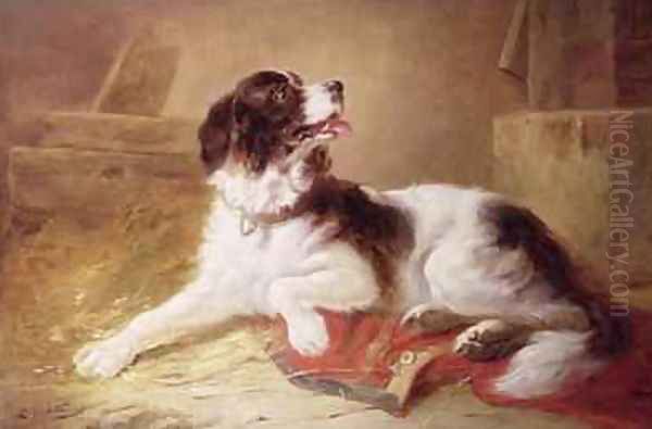 Portrait of a Spaniel - view 1