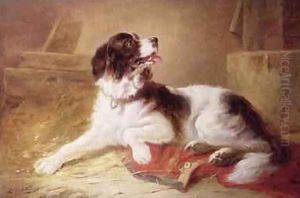 Portrait of a Spaniel by Zacharias Noterman
