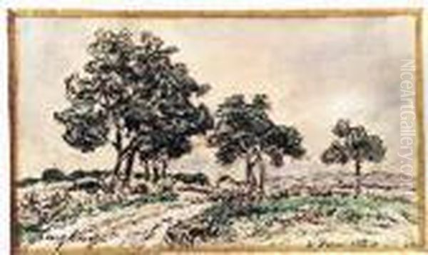 La Route Bordee D'arbres En Isere - view 1