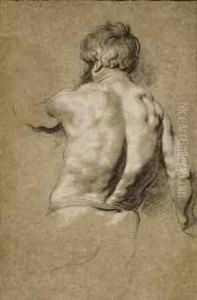 Study Of A Man Seen From Behind by Jacob Jordaens