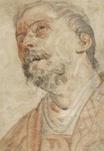 Head Of A Man by Jacob Jordaens