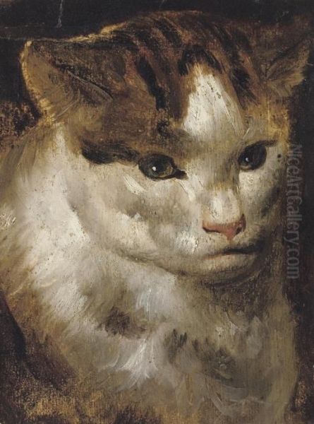 Study Of A Cat - view 1