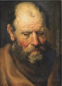 A Male Saint, Head And Shoulders by Jacob Jordaens