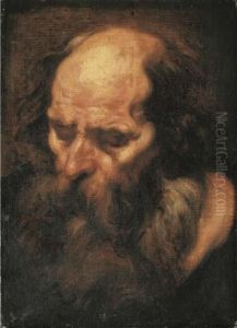 The Head Of A Bearded Man by Jacob Jordaens