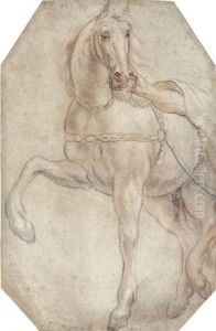 A Harnessed Horse Looking To The Right by Jacob Jordaens