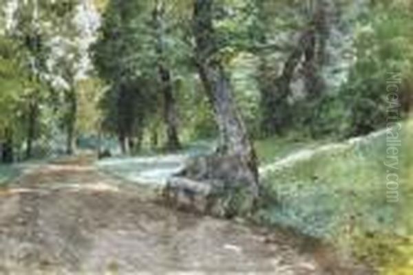 Sentiero Nel Parco - view 1