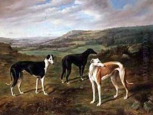 Greyhounds by Benjamin Cam Norton