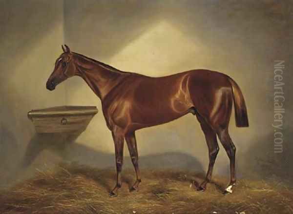 A chestnut racehorse in a stable - view 1